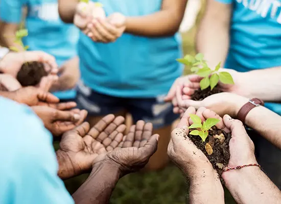 NGO in Mumbai